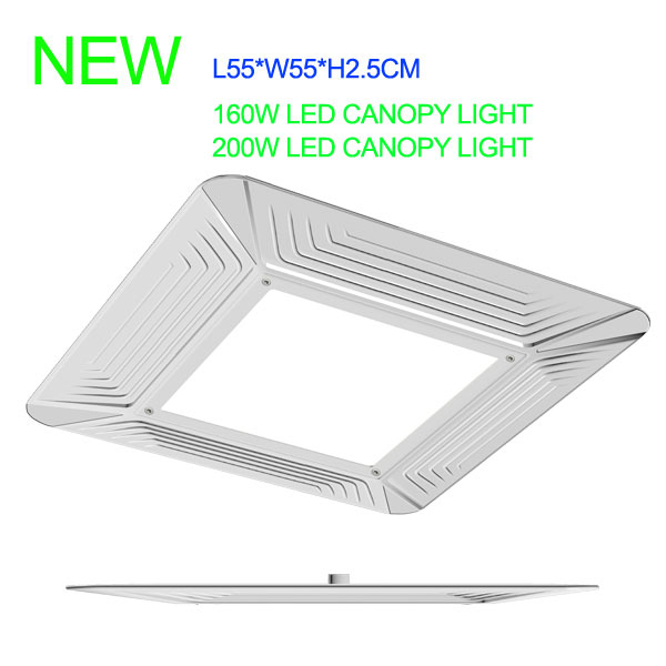 RISE-LITE Will Introduce a New Super Slim Canopy Light