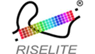 RISE-LITE LED Post Top Lights 2021