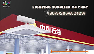 Rise-Lite Gas Station LED Canopy