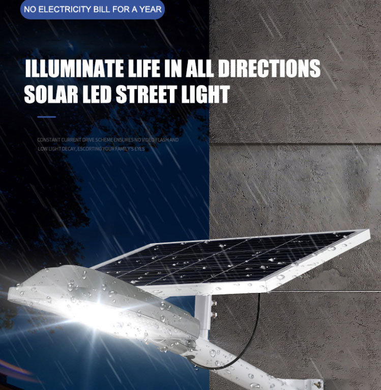 Rise-Lite Solar Street Light