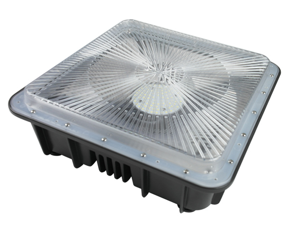 Type B LED Garge Canopy Light